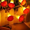 Plug in Mushroom String Lights, 100 LED Wire Light for Valentines Day, Weddings, Birthdays Family Dinners and Party