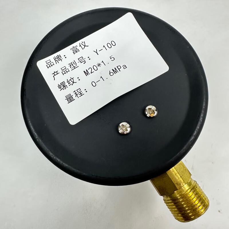 Fuyi Y-100 Radial Pressure Gauge (CN Version)