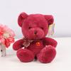 Button Five Color Bear Plush Toy Stuffed Animal Colored Teddy Bear Claw Machine Doll for Kids and Adults