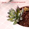 Realistic Flocked Succulents: Small Artificial Green Plant Wall Decor for Interiors