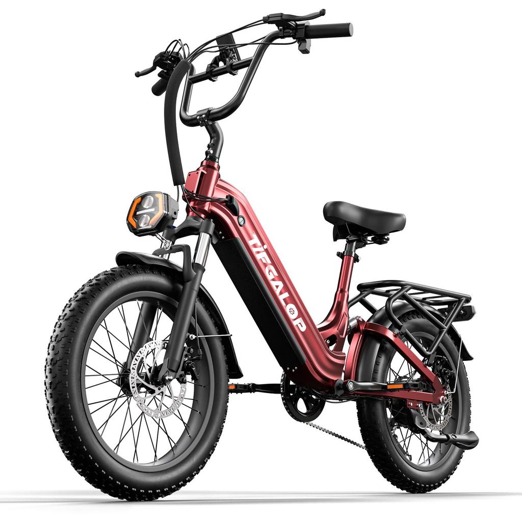 TIFGALOP XC20 All-Terrain Electric Bicycle 48V20AH Battery 500W Motor 20 Inch Fat Tires City Commuting E-Bike With Tow Seat