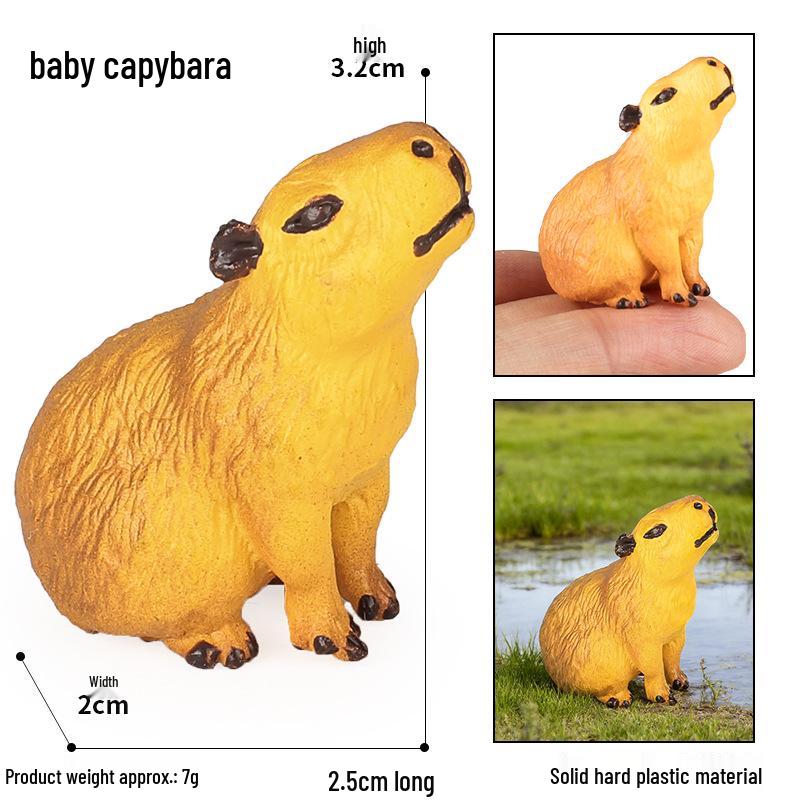 Capybara Model Toy - Realistic Wildlife Ornament for Children s Cognitive Play