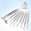 8-piece Set Dental Care Set,stainless Steel Dentist Instrument,dental Tools