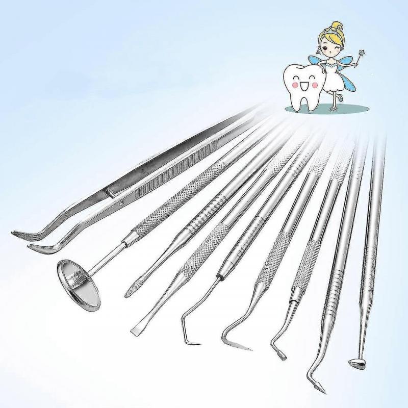 8-piece Set Dental Care Set,stainless Steel Dentist Instrument,dental Tools