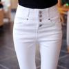 Gonne e pantaloni da donna – Leggings