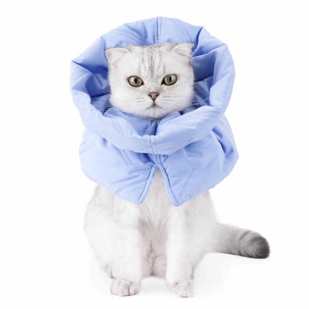 

Adjustable Pet Collar Neck Protective E Cone Collar Soft Cat Elizabethan Collar Wound Protection S світло-синій колір