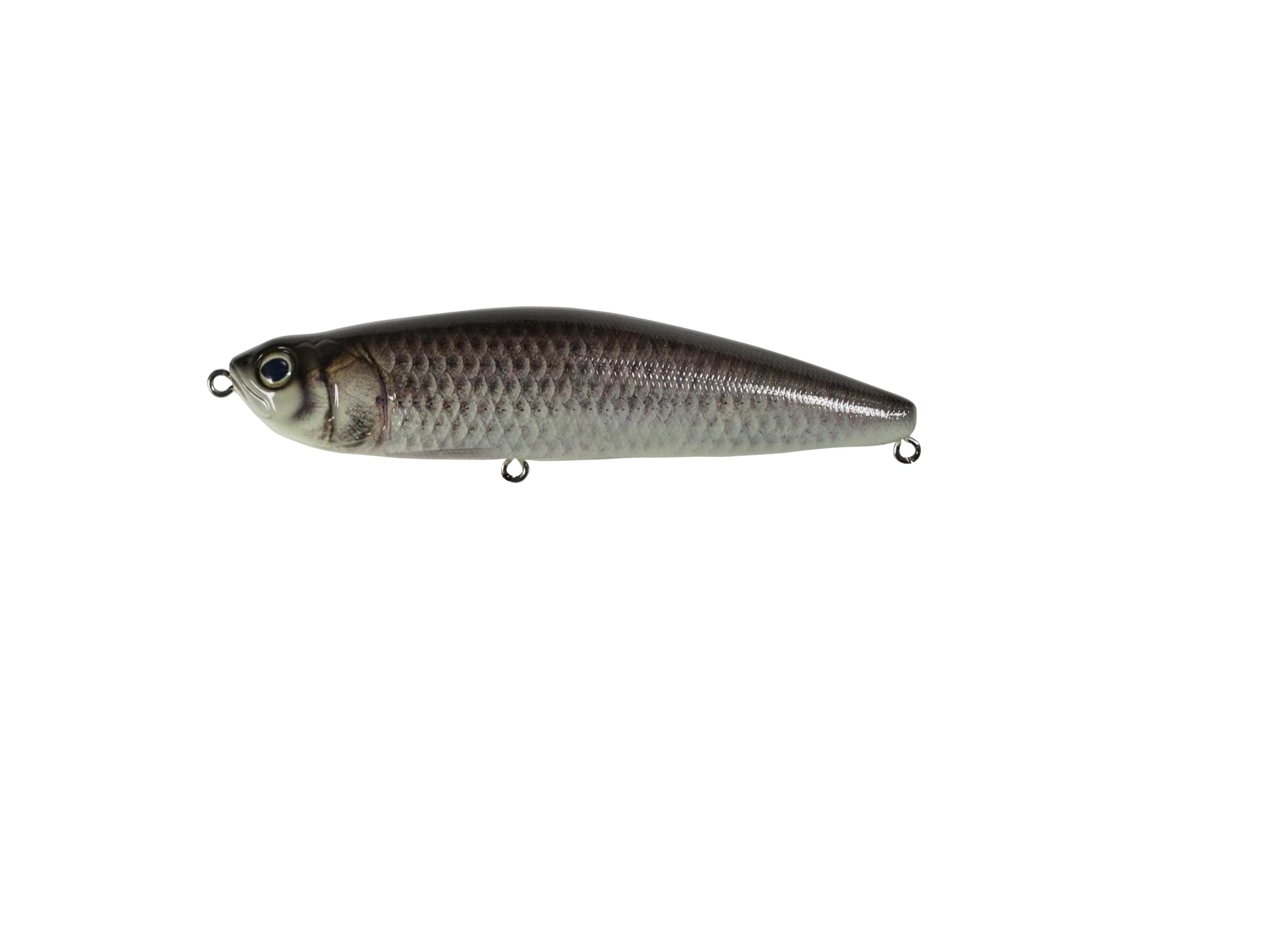 

Gan Craft Z-CLAW #RF-17 Belial Kishu Carp