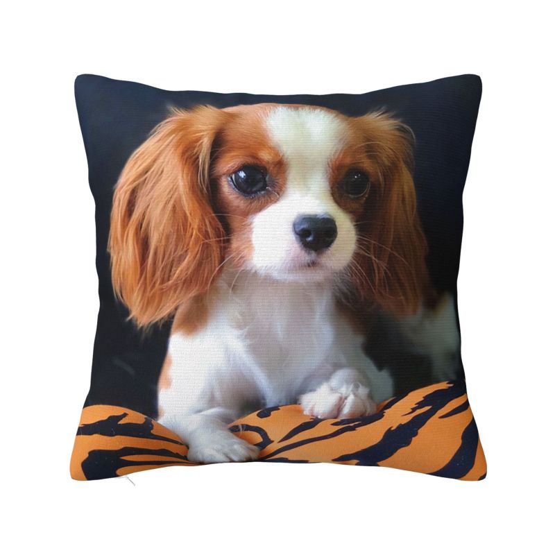 Custom Modern Cavalier King Charles Spaniel Cushion Cover for Sofa Velvet Cartoon Dog Pillow Case Bedroom Decoration