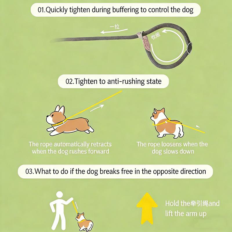 1,8m Anti-Knal Hondentuig P-Ketting Halsband No-Pull Trainingslijn Anti-Ontsnapping Huisdier Lijn Voor Middelgrote Grote Honden Buiten Wandelen