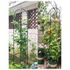 Stable Construction Plant Support Frame Climbing Vines Stand  Indoor Outdoor Yard