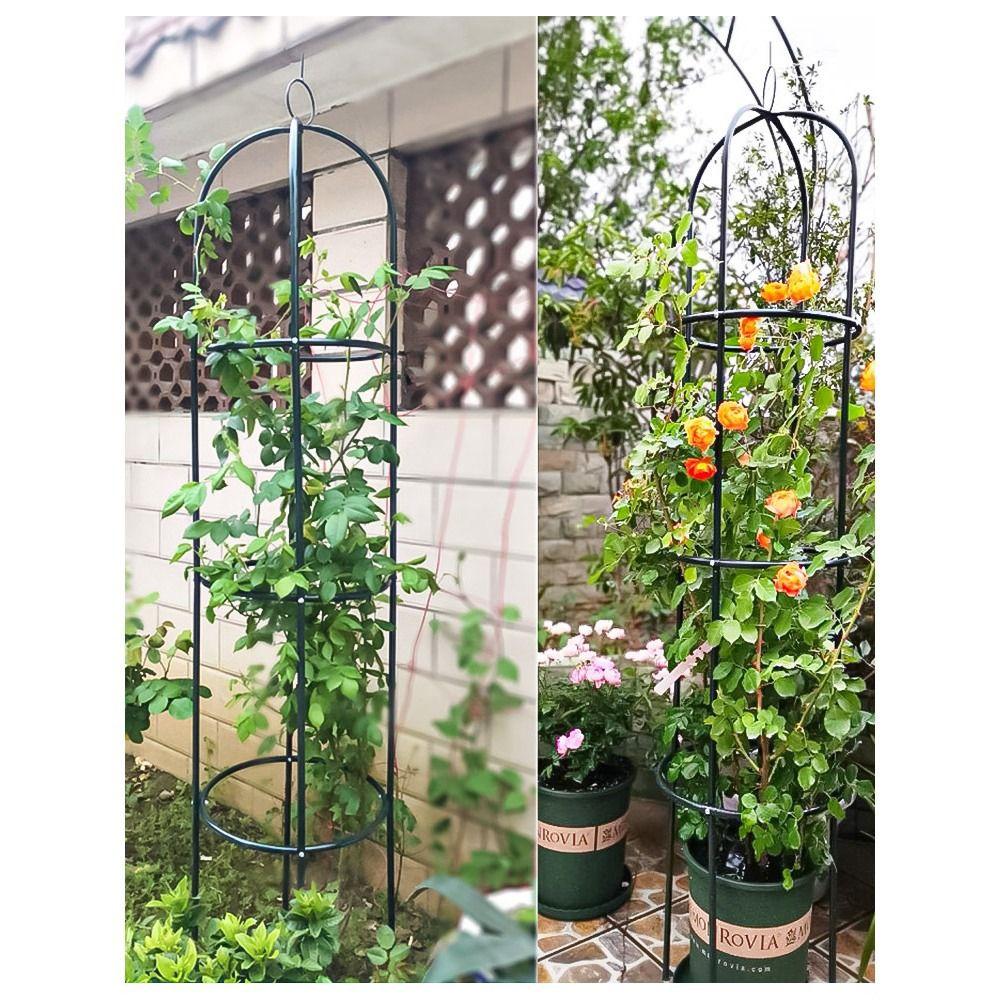 Stable Construction Plant Support Frame Climbing Vines Stand  Indoor Outdoor Yard