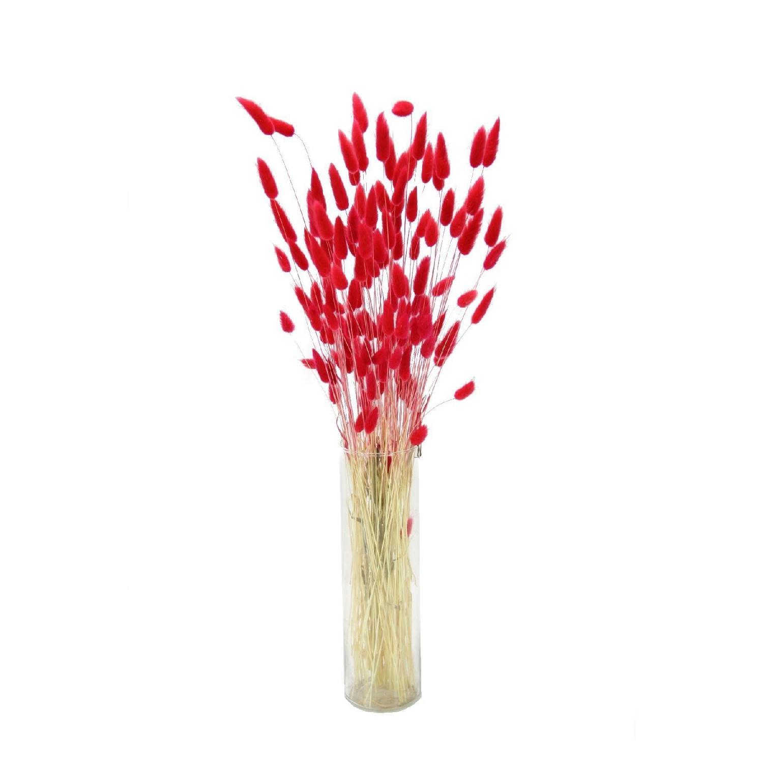

Dried Lagurus (cotton grass) Bunch Red чистый