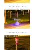 Waterproof LED Outdoor Solar Lawn and Garden Stake Light