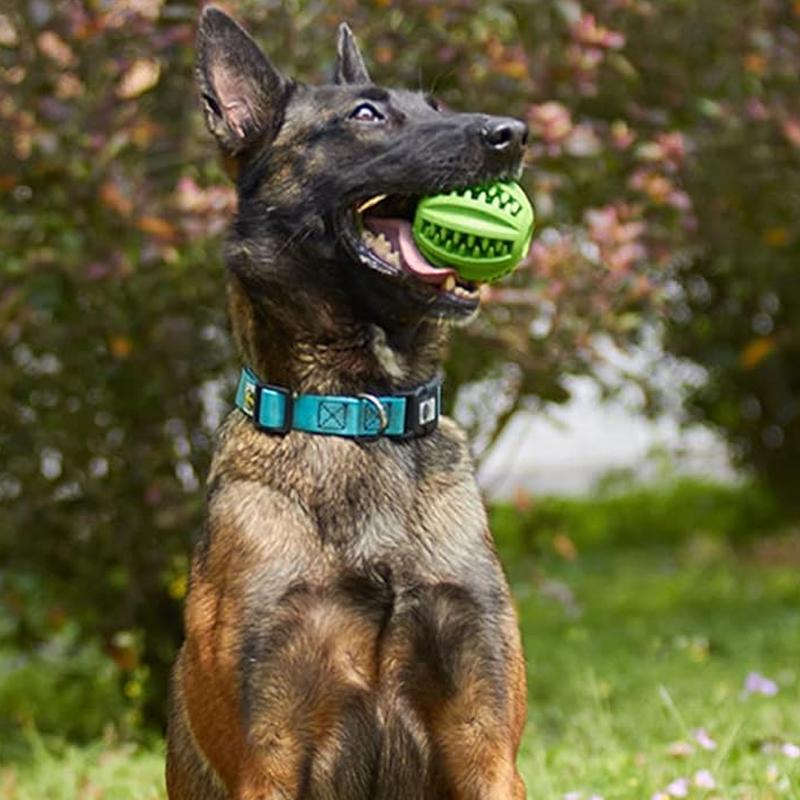 5/6/7cm Silicone Pet Dog Toy Ball Interactive resistant Chew Toy for Small Dogs Tooth Cleaning Elasticity Ball Watermelon Ball