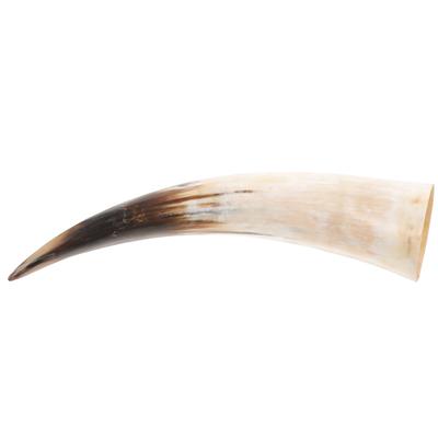 Ornaments Horn Decoration Bull Horns Decorate Wall Vases for Flowers Decorative Object