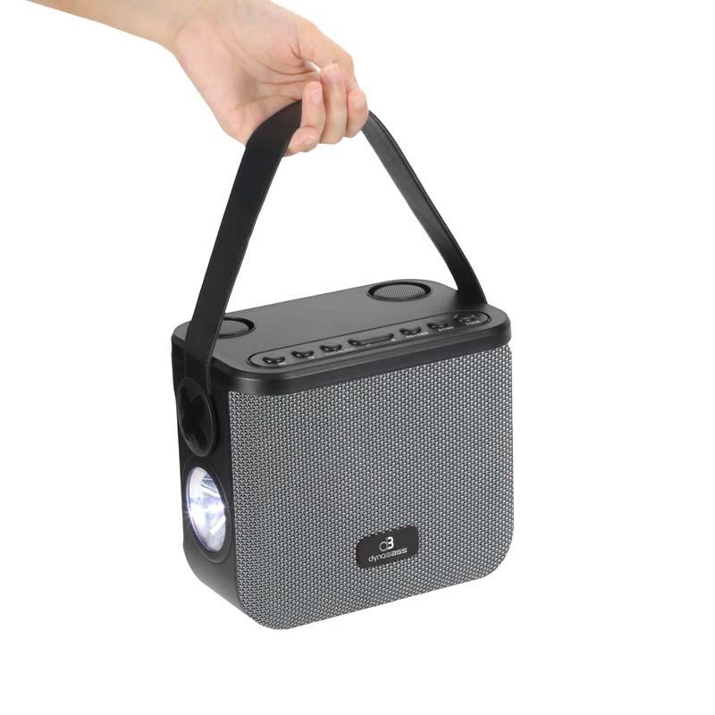 Karaoke-Lautsprecher Dbe50 Grau Dynabass