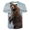 Letní vtipné pánské tričko s 3D digitálním potiskem se zvířecím vzorem černého medvěda