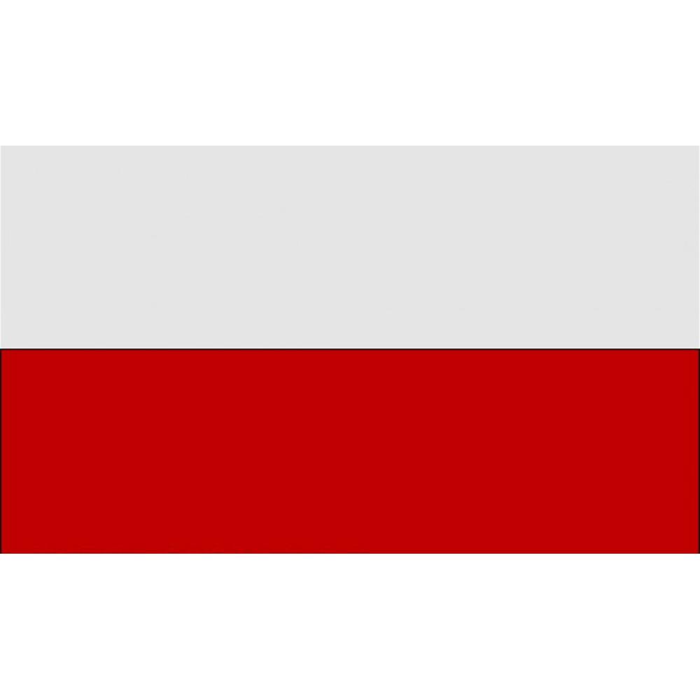 Carta Sport Corner Flag