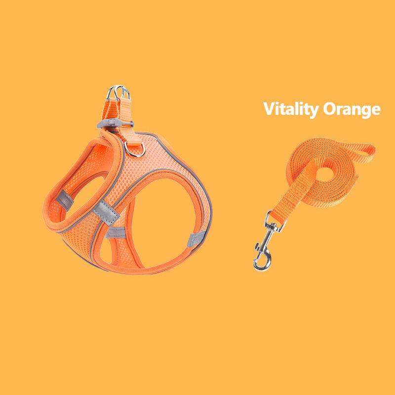 

Дышащая сетчатая шлейка и поводок для кошек и собак, регулируемый жилет, поводок для прогулок, мягкая шлейка для домашних животных для кошек, маленьких собак, мопсов, чихуахуа