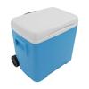 Outdoor Camping Cooler Box Multipurpose Portable Lasting Camping Incubator for Camping Fishing BBQ Picnic 30L