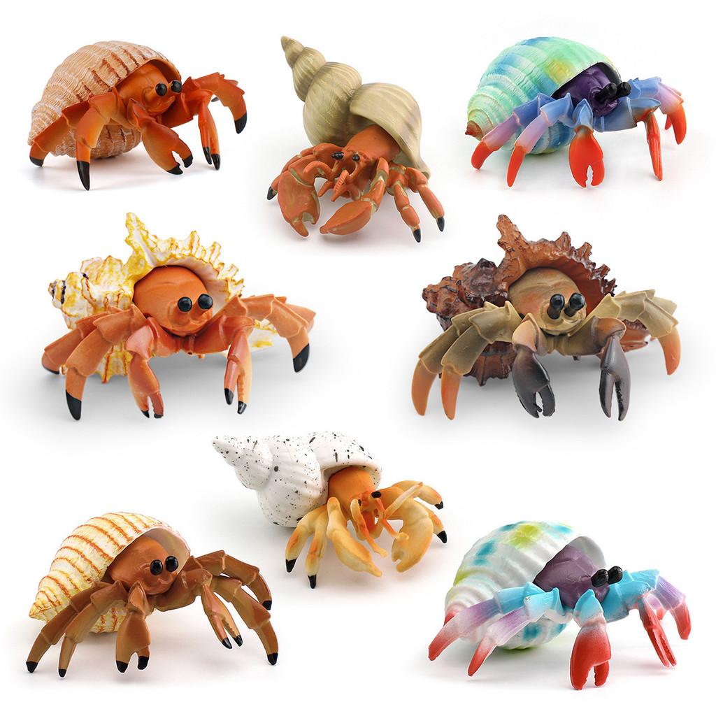 Simulation Marine Animal Pvc Hermit Crabs Sculpture For Kids Learning And Decorative Collection
