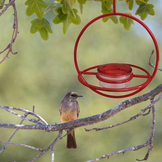 Kolibri-Futterspender mit Haken Große Kapazität Auslaufsicher Einfaches Befüllen Wiederverwendbar Einfache Installation
