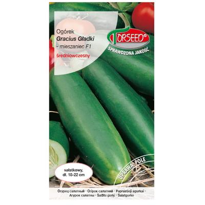 Salad Ground Cucumber Gracius Gładki F1 Fresh Vegetable Seeds PREMIUM 3g