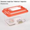 Children's Portable Transparent Pet Transport Box: Small to Large Fish/Turtle Tank