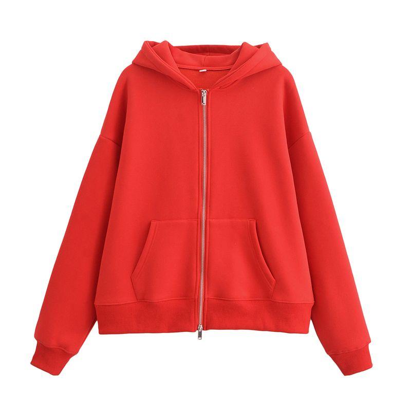 Kaslead New Arrival Women's Clothing Fashion Style Fashion Zipper Ornament Sweater Cotton Trousers 4174842 4174843