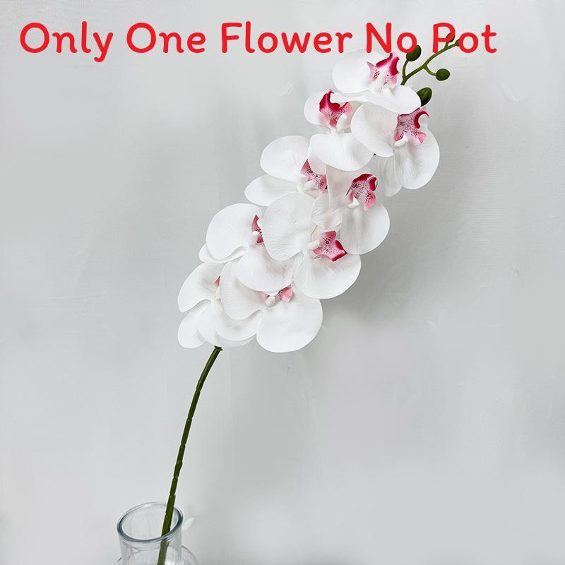 Phalaenopsis Aphrodite Rch Artificial Flower For Wedding Decor And Home Arrangement