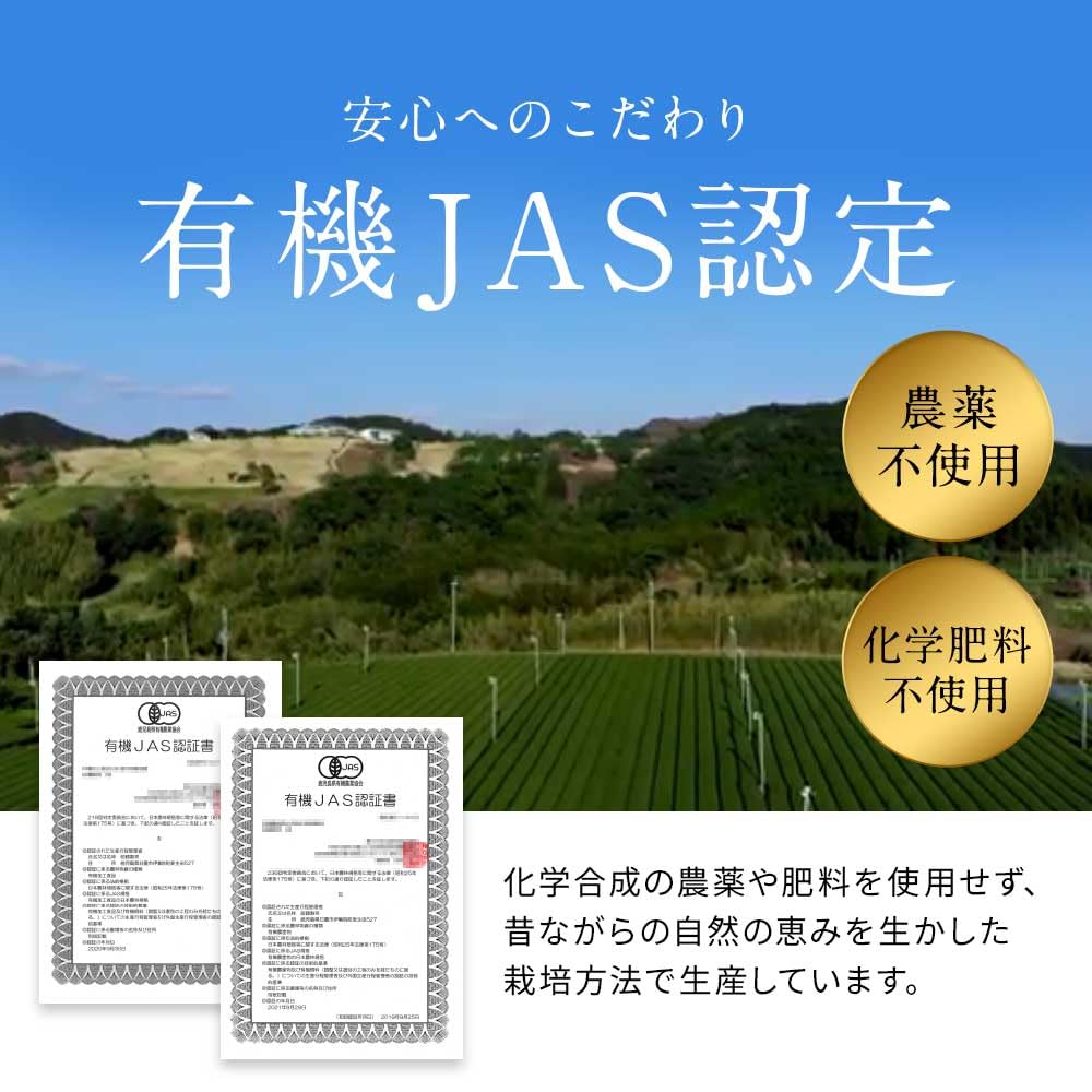 [Organic JASASIAGAP] Organland Satsuma Benifuuki Green Tea, 2g x 30 Tea Bags, Benifuuki Tea