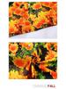 Retro Dark Green & Orange Chrysanthemum Cuban Collar Shirt