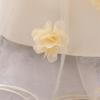 Chic Princess Birthday Dress: Fluffy Tulle, Bow, and Appliqué Design for Girls