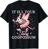 It Is I Your Fairy Godpossum Funny Opossum Spirit Animal T-Shirt
