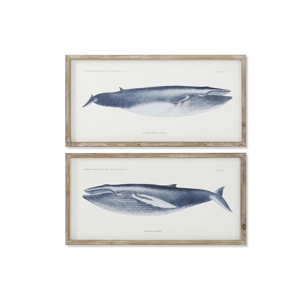 

Главная ESPRIT Рамка «Кит» 70 x 2,5 x 35 см (2 единицы) TU прозрачный