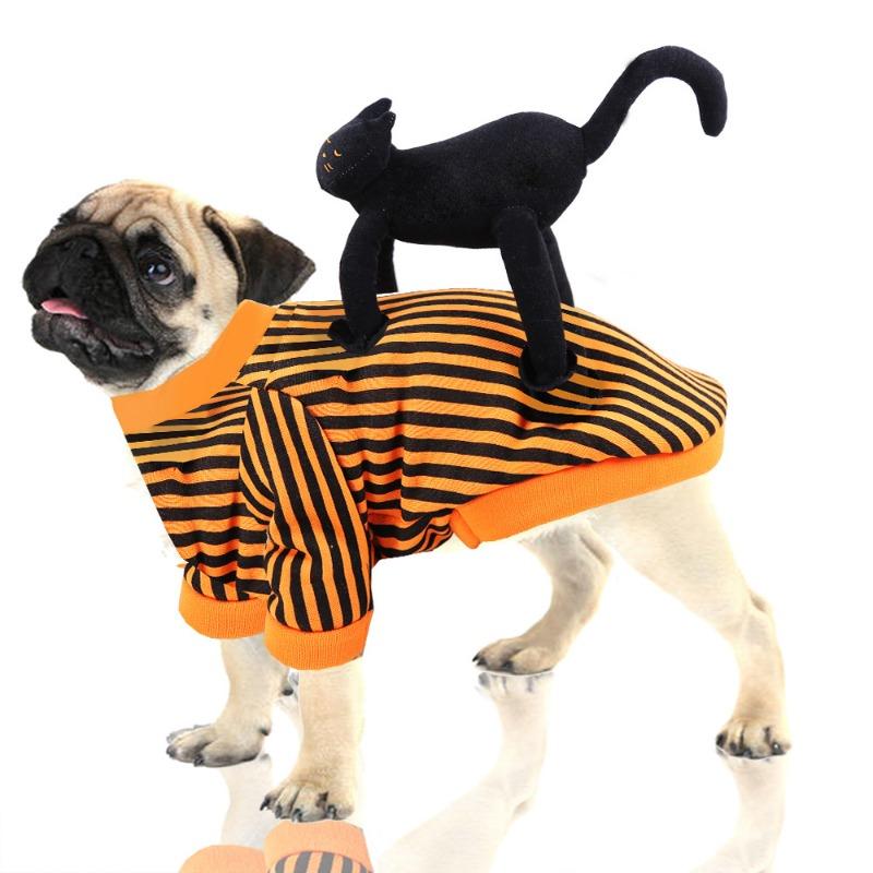 Halloween Pet Cat and Dog Supplies, Standing Black Cat Clothes, Funny Teddy Bichon Frise