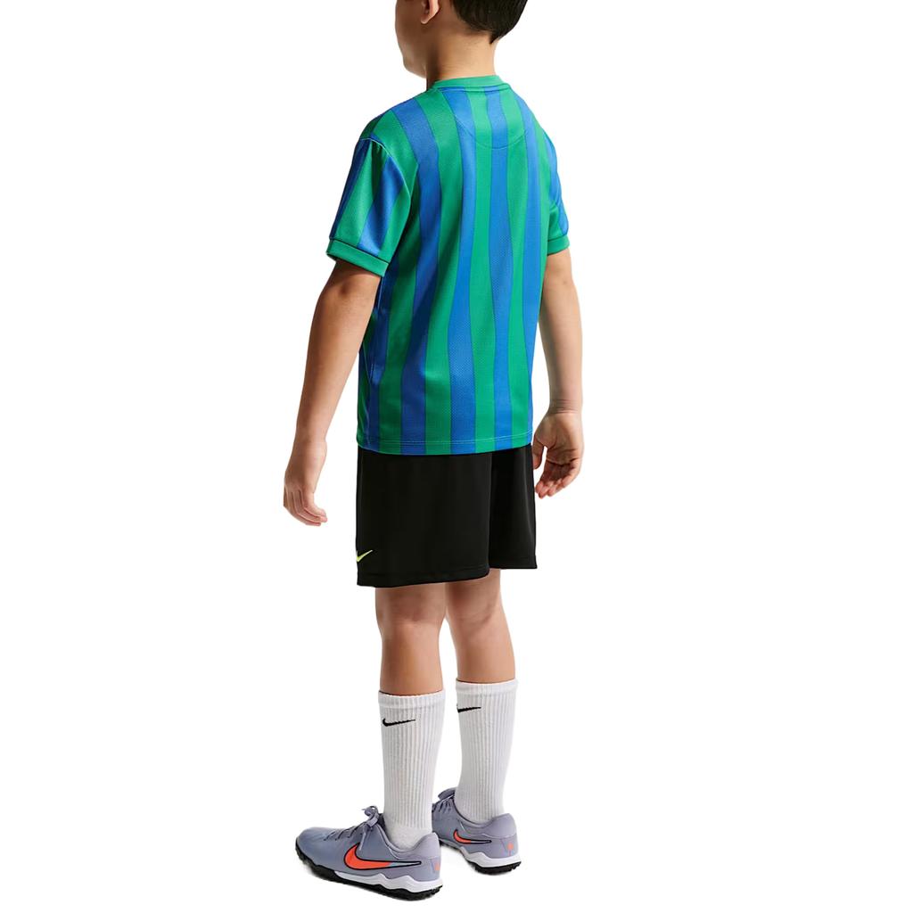 Nike Kids Casual Sportswear Crew Neck Moderate IW1485-010