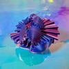 Rotating Gear Ball 3D Printed Decompression with Linked Gear Structure Stress Relief Toys Bright Colors Stress Gearsphere Fidget Toy