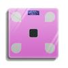 Zixiu Solar Charging Smart Body Fat Scale (CN Version)