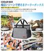 Large Capacity 30L Cooler Box, Water-Resistant, Abrasion-Resistant, 4-Layer Insulated, Leak-Resistant, Foldable, Lightweight, 3-Way Design, Soft