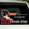 Accesorii de exterior – Autocolante pentru auto