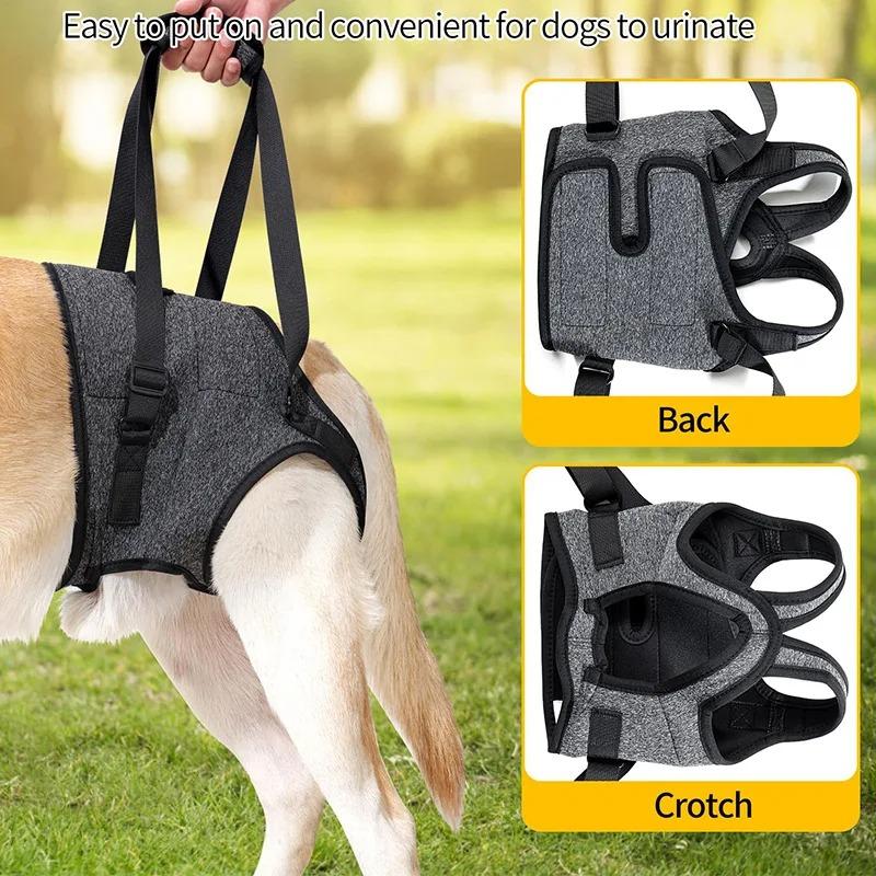 Adjustable Dog Lift Harness for Large Dogs Soft Padded Pet Rear Leg Support for Old Disabled Joint Injuries Dog Back Leg Hold