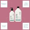 ecostore Hand Wash Pump [Mint & Manuka Honey] 425mL Hand Soap Liquid Soap Plant-derived Skin-friendly