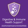 21st Century, advanced probiotic, ultra-potent, 60 capsules