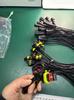 ETERNALSTAR Customized 4 Pin Waterproof AMP Car Electrical Connector Wire Harness with Waterproof Cap for Automobile Use