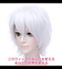 CaseEden Cosplay Wig, Short, 30cm, Heat-Resistant, Silver, White-Silver, Silvery-White, Includes 2 Wig Nets