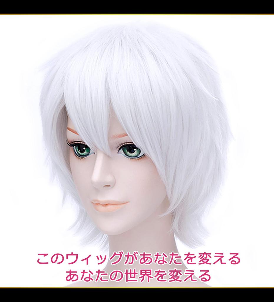 CaseEden Cosplay Wig, Short, 30cm, Heat-Resistant, Silver, White-Silver, Silvery-White, Includes 2 Wig Nets