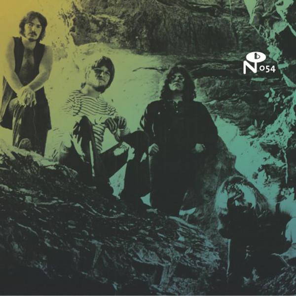 CD VARIOUS - Local Customs: Cavern Sound NUM054 Numero Group 2014 US Rock