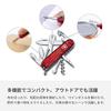 VICTORINOX Cyber Traveler T (1.3703.T)