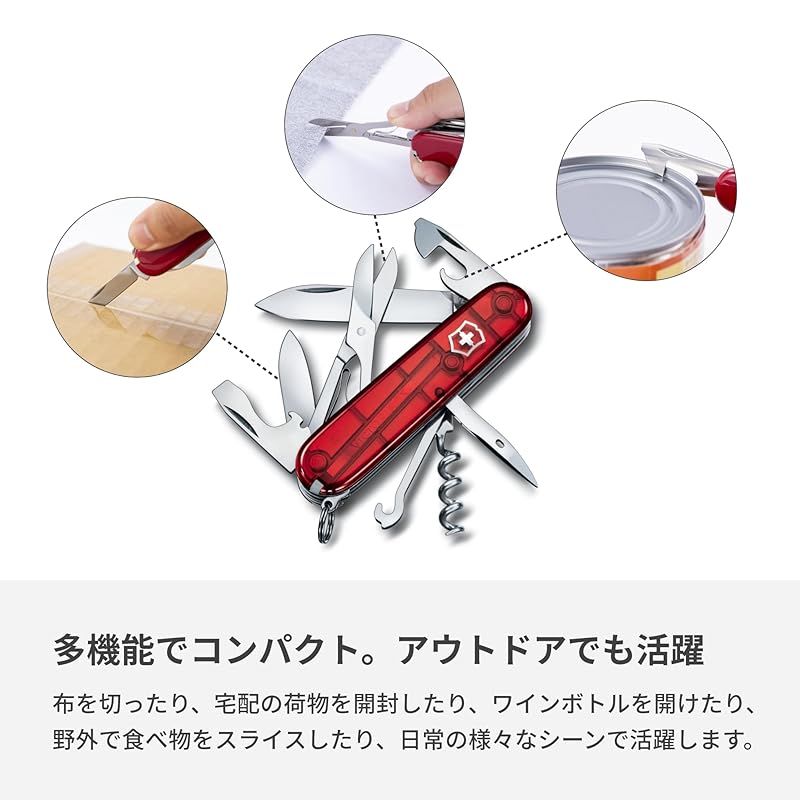 VICTORINOX Cyber Traveler T (1.3703.T)